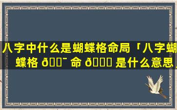 八字中什么是蝴蝶格命局「八字蝴蝶格 🐯 命 🐘 是什么意思」